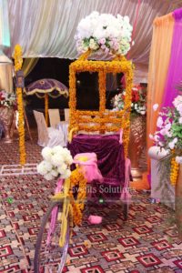 decor experts, tricycle decor