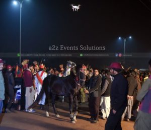wedding horse service providers in lahore