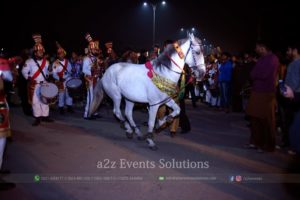horse service providers in lahore