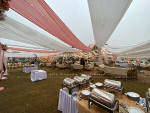 themed draping, reception event