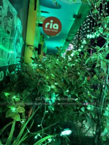 independence day, light decor, corporate decor, building illumination