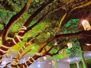 house decor, wedding light, building light, wedding house lighting