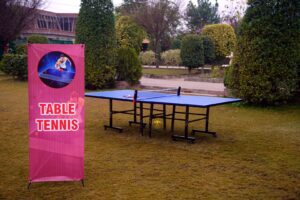 company-sports-day corporate event, company annual sports day, annual dinner, gaming setup