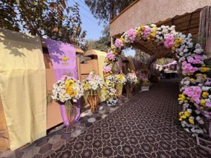 events services, arches, area decor, chandeliers