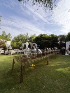 executive-buffet crockery, cutlery, multi dishes, caterers