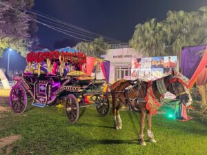 horse carriage, events services, corporate planners, outdoor event