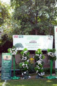 outdoor-event photo corner, floral decor, company event, events services