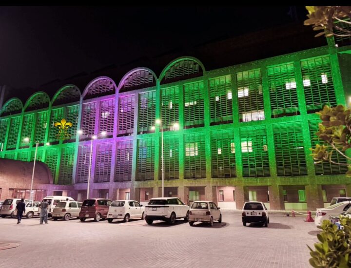 festive lighting, corporate event planners and designers