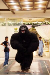 entertainment, birthday bash, party planners, events service