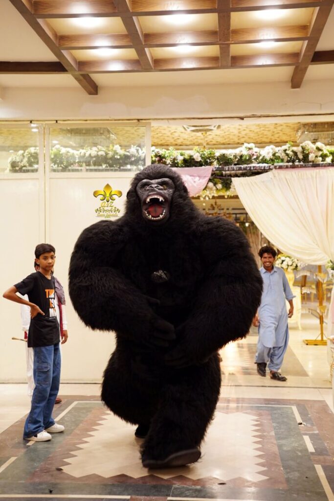 gorilla-entry entertainment, birthday bash, party planners, events service