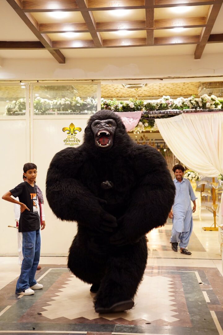 entertainment, birthday bash, party planners, events service